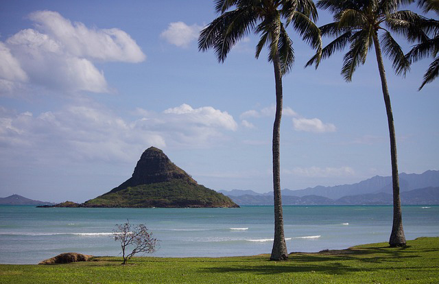インデックス・ユニバーサル保険