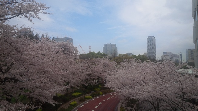 nogizaka