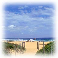 A Beautiful Beach - Central Coast, NSW
